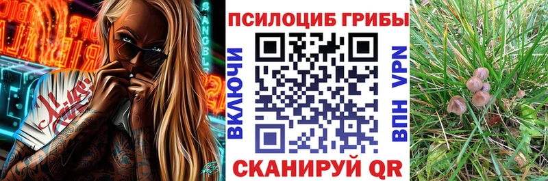 МЕГА ссылка  Бикин  нарко площадка какой сайт  наркота  Галлюциногенные грибы мухоморы 
